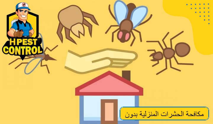 مكافحة الحشرات المنزلية بدون مبيدات