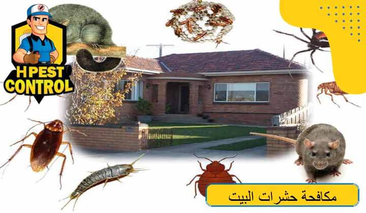 مكافحة حشرات البيت