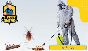 طرق رش صراصير فعالة