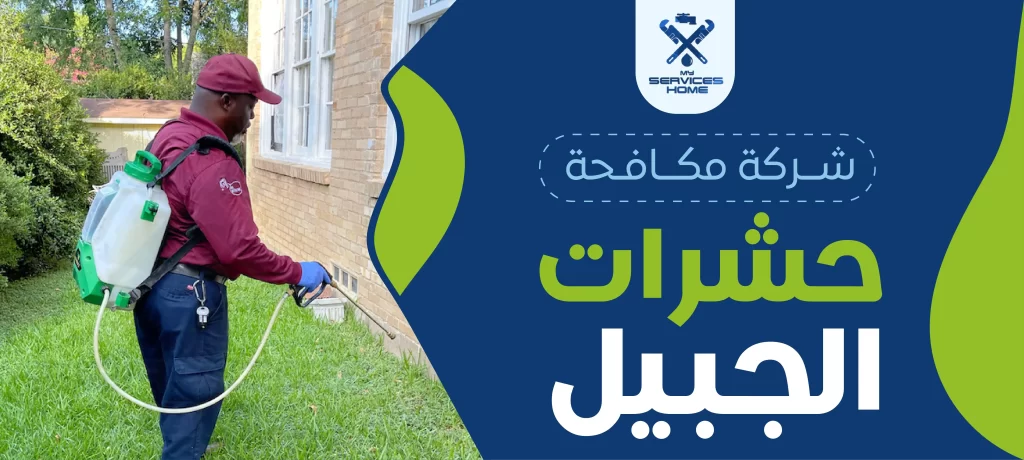 شركة مكافحة حشرات الجبيل