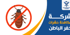 شركة مكافحة حشرات بحفر الباطن: طريقك للراحة من أضرار الحشرات