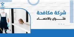 شركة مكافحة فئران بالاحساء : محاربة التهديد الفئران مع الكفاءة والمهنية