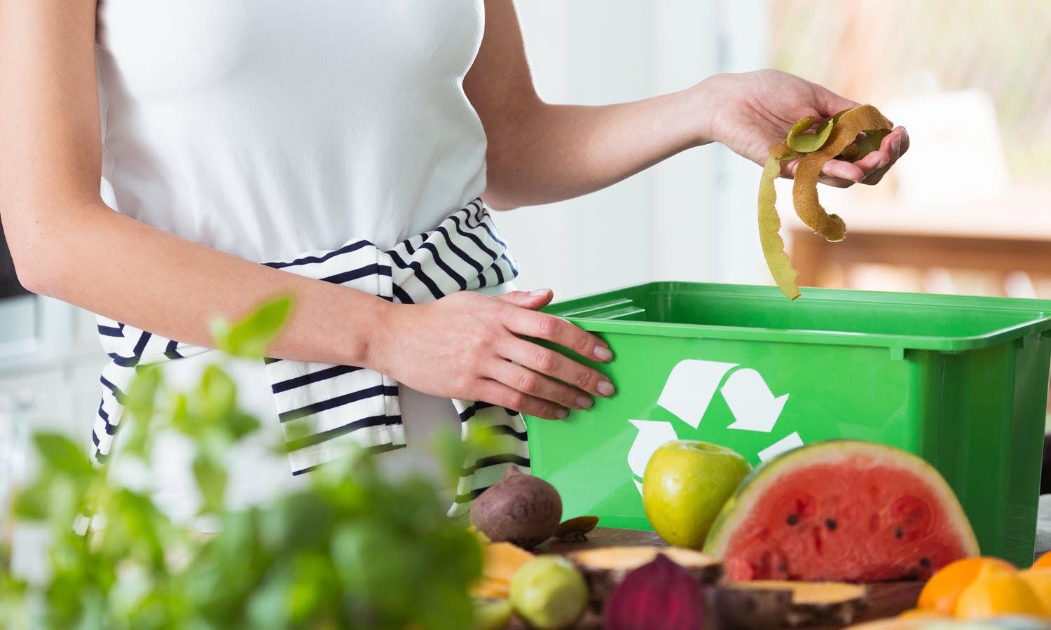 طرق التخلص من النفايات المنزلية