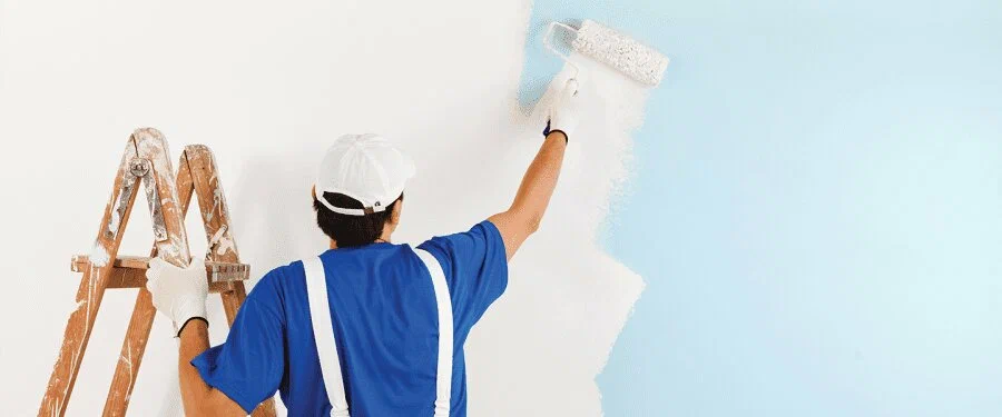 كيف أختار دهانات شقتي