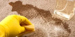 كيفية تنظيف بقع القهوة عن السجاد